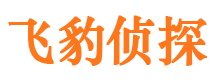 四方侦探